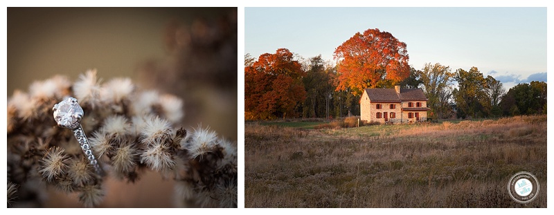 webb_farmhouse_engagement_longwood_gardens