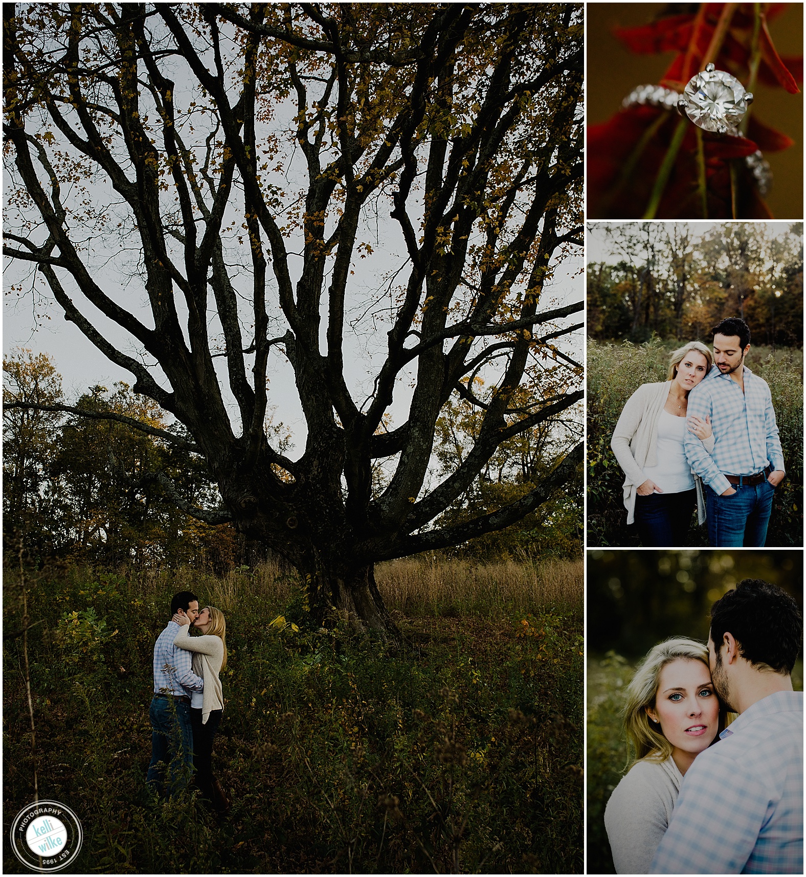 longwood gardens meadow engagement photos