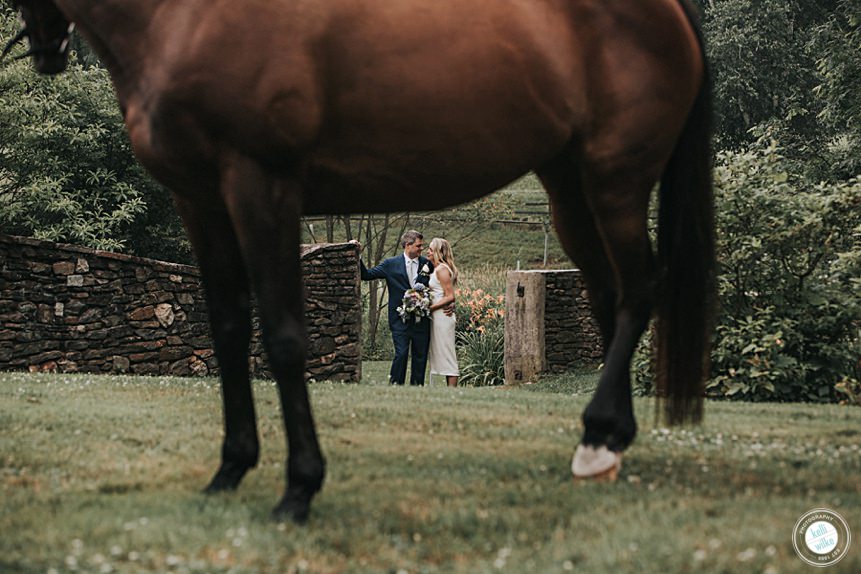 bride and groom viewed under the horse in the background, horse in the foreground on a chadds ford pa farm wedding