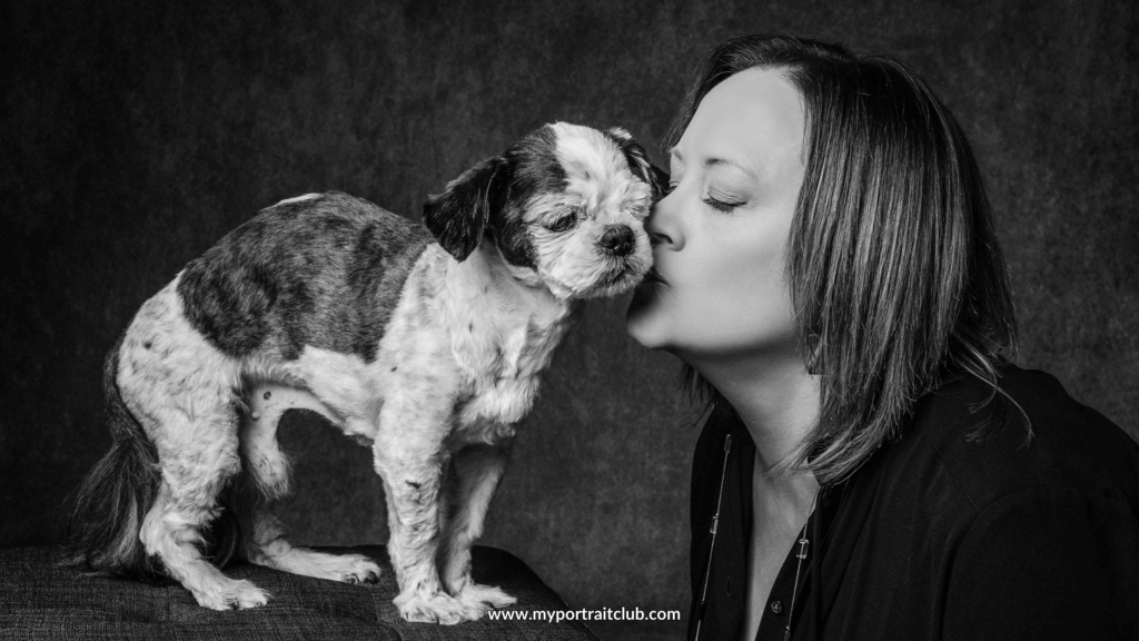 senior dog pet session